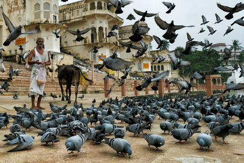 8 Tage Jaipur, Jodhpur und Udaipur Stadtrundfahrt