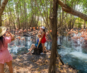 Isla Barú : accès au club de plage et visite de la volière nationale