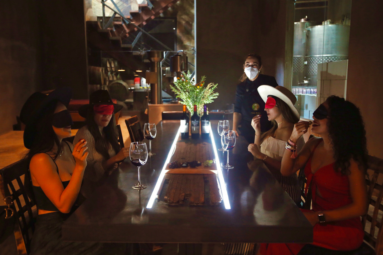 Degustação sensorial de vinhos com chocolates em Rondo del Valle