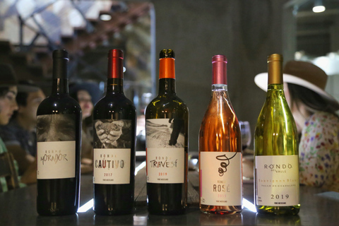 Degustação sensorial de vinhos com chocolates em Rondo del Valle