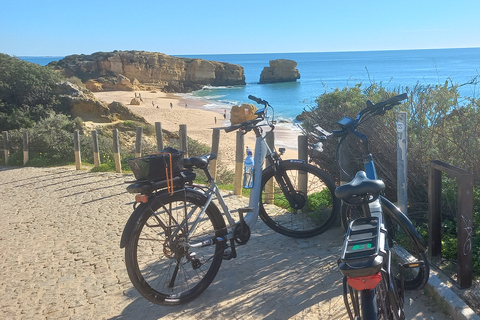 城市电动自行车游 - 阿尔布费拉西海岸私人专属！2025 年冬季私人观光