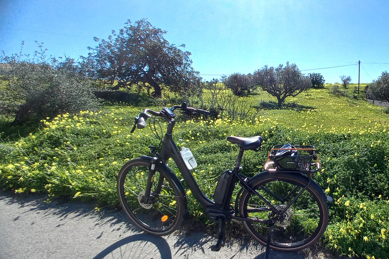 城市电动自行车游 - 阿尔布费拉西海岸私人专属！2025 年冬季私人观光