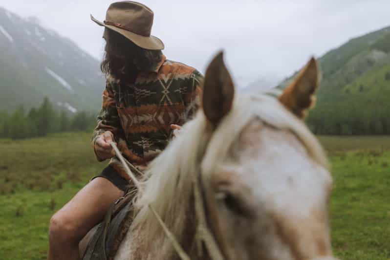 5 hours horse riding tour in Borjomi National Park