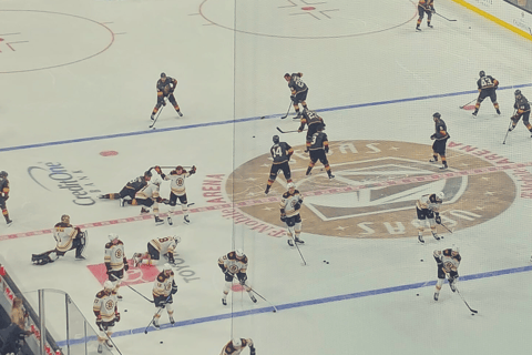 Las Vegas: Vegas Golden Knights Ice Hockey Game Ticket Lower Sideline