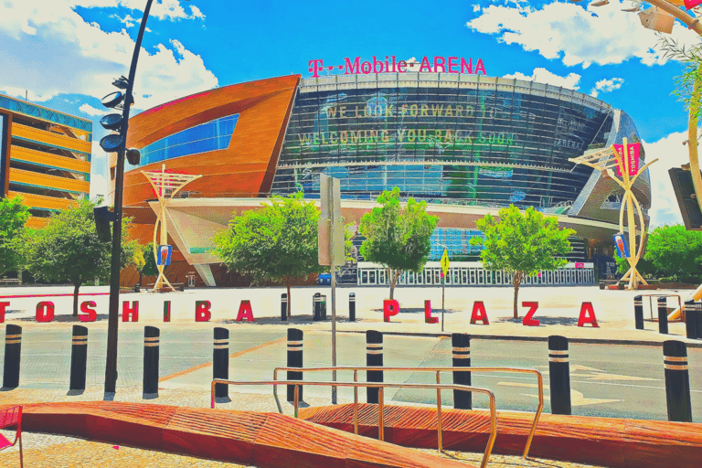 Las Vegas: Vegas Golden Knights Ice Hockey Game Ticket Lower Sideline