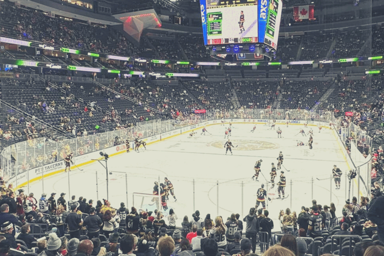 Las Vegas: Vegas Golden Knights Ice Hockey Game Ticket Lower Sideline