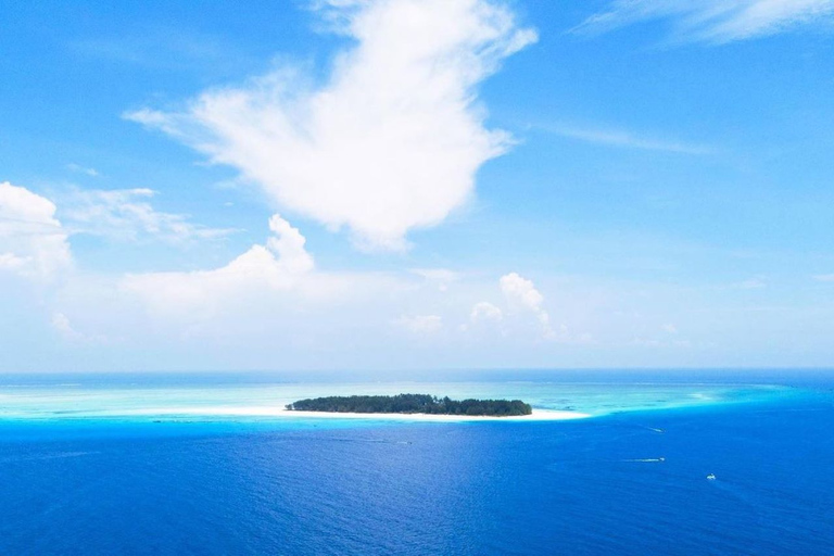 Isla de Mnemba, Bosque de Jozani, Aventura de las Estrellas de Mar, La Roca