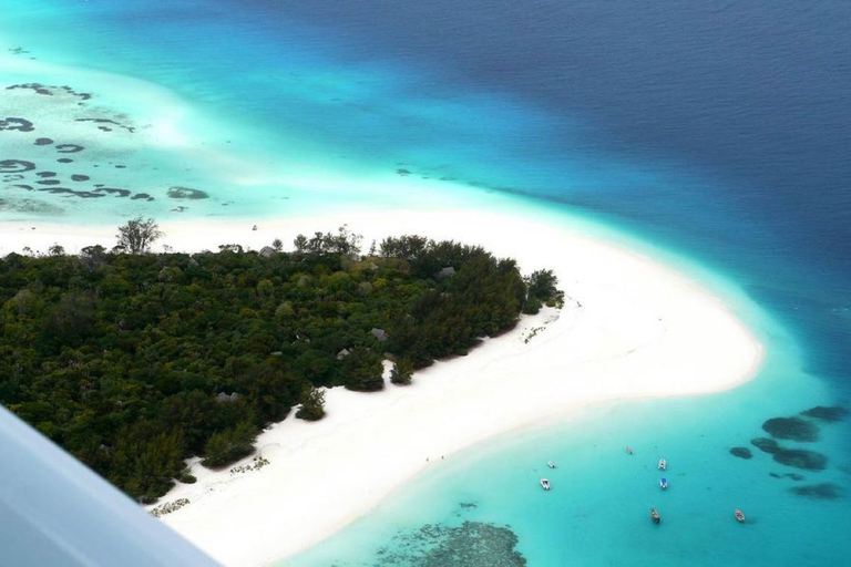 Isla de Mnemba, Bosque de Jozani, Aventura de las Estrellas de Mar, La Roca