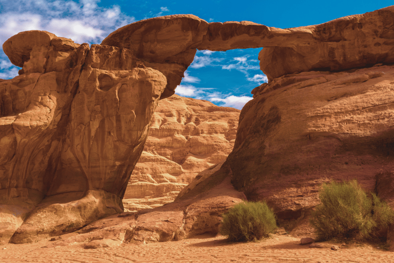 Excursion d'une journée d'Aqaba à Wadi Rum avec visite en jeep et dîner