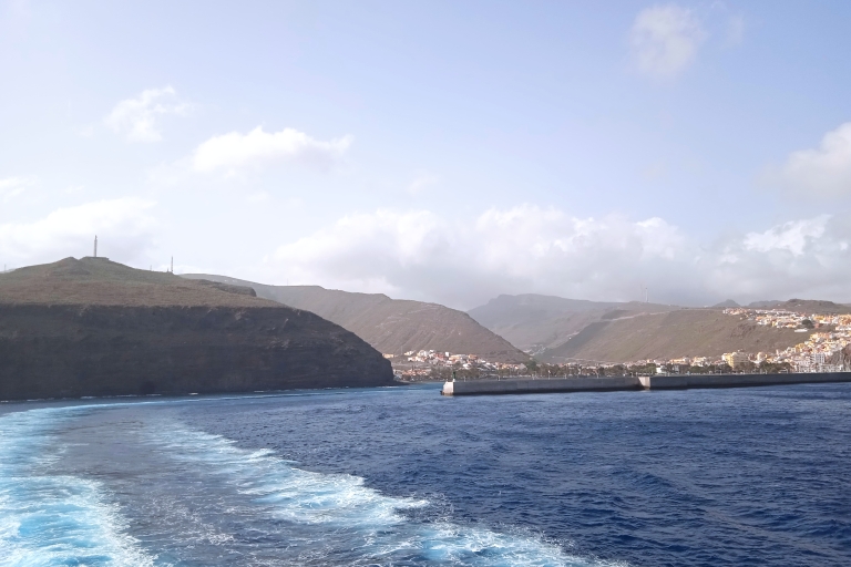 Tenerife : La Gomera depuis Tenerife : expérience d'une journée complèteTenerife : La Gomera depuis Tenerife visite guidée en anglais