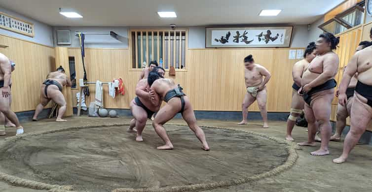 The Structure of Sumo Wrestling