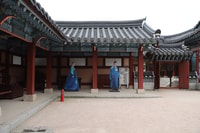 Von Seoul, Halbtages-MBC Dae Jang Geum Park Transfer - Hizvo