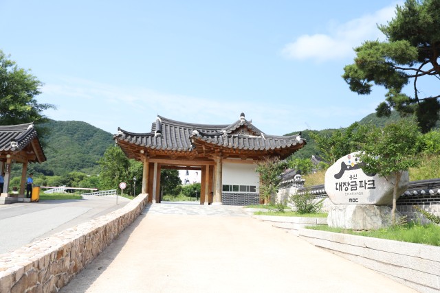 Visit From Seoul: Half-Day MBC Dae Jang Geum Park Transfer in Jeju Island