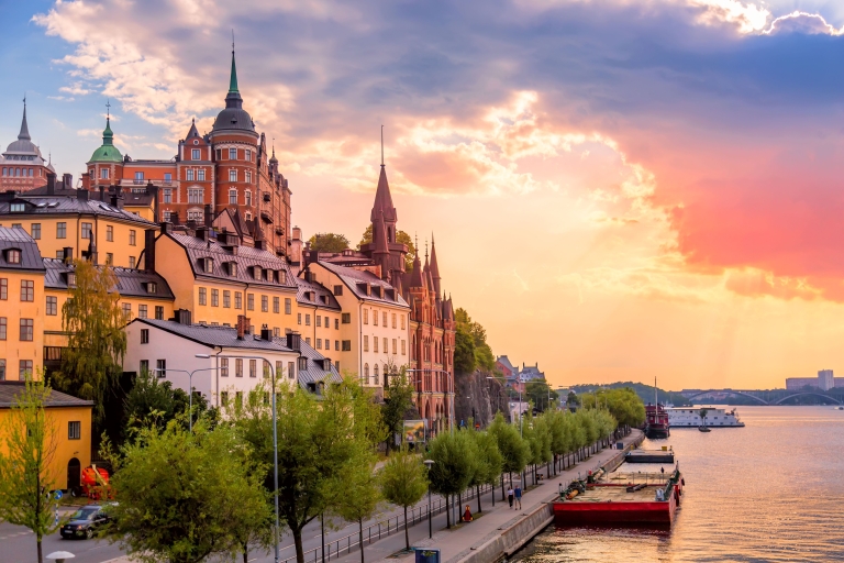 Panoramiczny Sztokholm: Prywatna wycieczka pojazdem