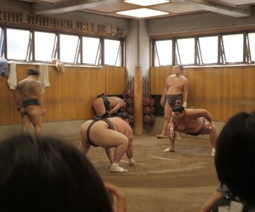 Tokyo: Exclusive Access to Sumo Morning Practice with Photos