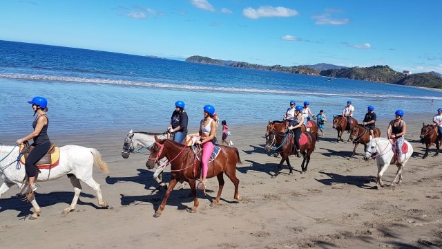 Visit Horseback Riding Tours in Playa del Coco