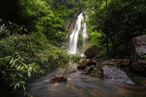 Khao Lak : Promenade en canoë sur la Petite Amazonie et visite de la cascade de Tam Nang