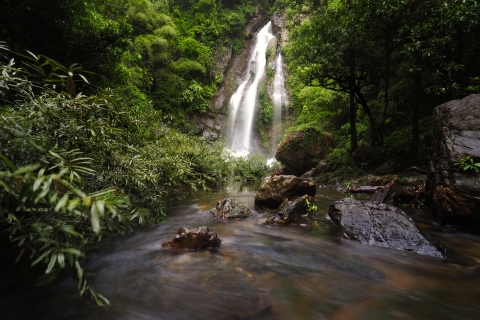 'Pequeña Amazonía' y cascadas