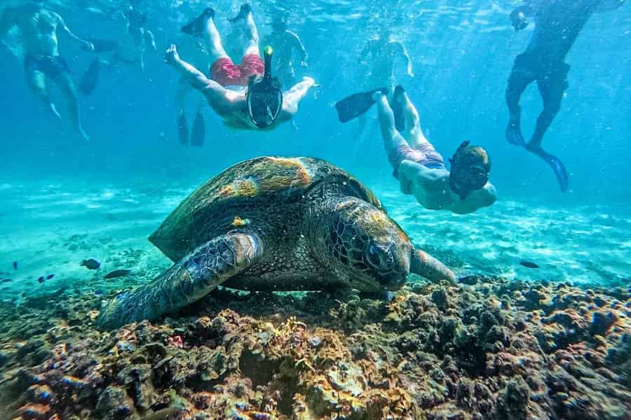 Ko Tao: Schnorcheltour in kleinen Gruppen zu verborgenen Buchten mit Mittagessen. Foto: GetYourGuide