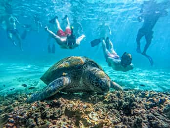 Koh Tao: Koh Nangyuan & Hidden Bays Snorkeling Tour w/ Lunch
