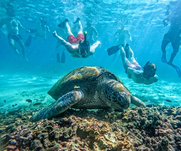 Koh Tao: Koh Nangyuan & Verborgen Baaien Snorkeltour met Lunch