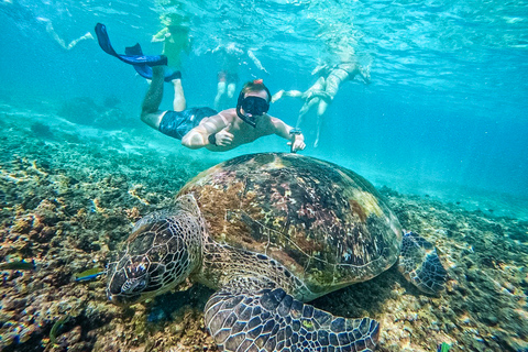 Koh Tao: Koh Nangyuan & Hidden Bays Snorkeling Tour w/ Lunch