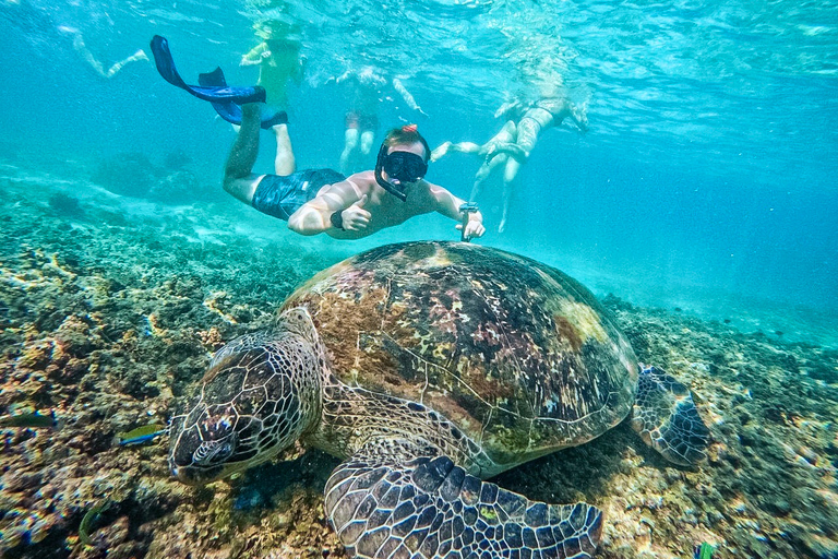 Koh Tao: Koh Nangyuan & Hidden Bays Snorkeling Tour w/ Lunch