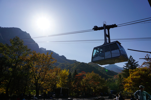 Seoraksan Day Tour with Nami Island or Sinheungsa Temple Group tour from Hongik University with Sinheung Temple