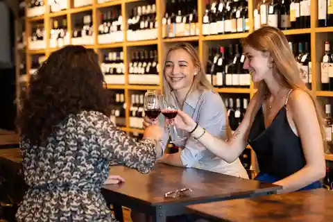 Burdeos: Tour de degustación en el distrito vinícola