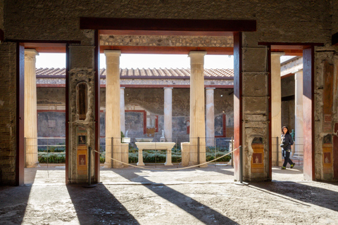 From Naples: Pompeii & Herculaneum Gems - Small Group Tour Small Group Experience - No Lunch included