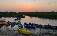 Mangrove 1 heure de kayak privé dans la réserve d'Al Thakira - Hizvo