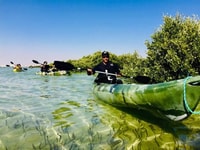 Mangrove 1 heure de kayak privé dans la réserve d'Al Thakira - Hizvo