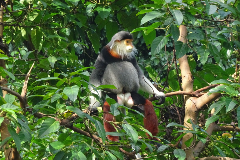 Tour di un giorno con le gemme nascoste di Monkey Mountain