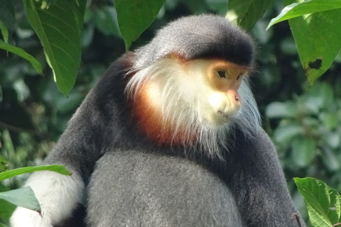 Tour di un giorno con le gemme nascoste di Monkey Mountain