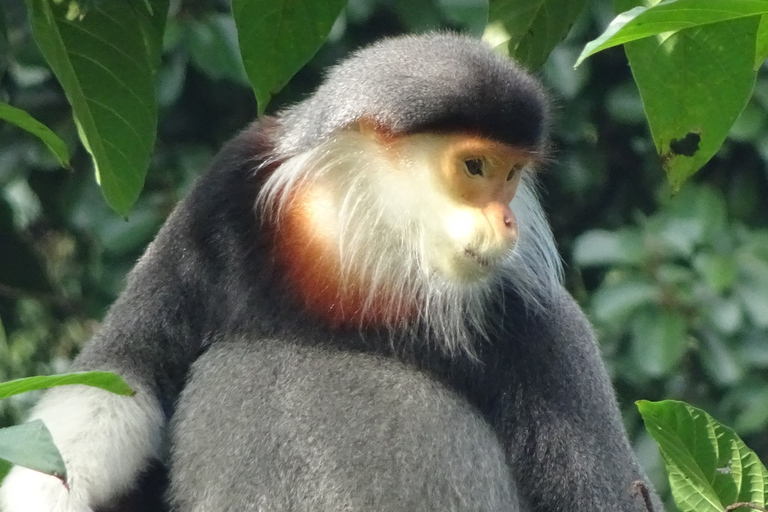 Tour di un giorno con le gemme nascoste di Monkey Mountain