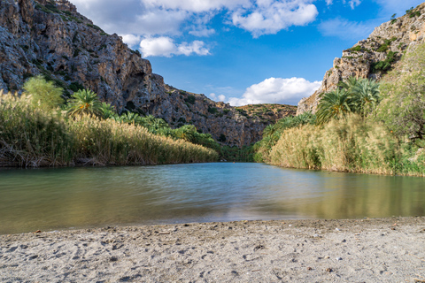 Från Chania: Dagstur till Palm Beach i Preveli