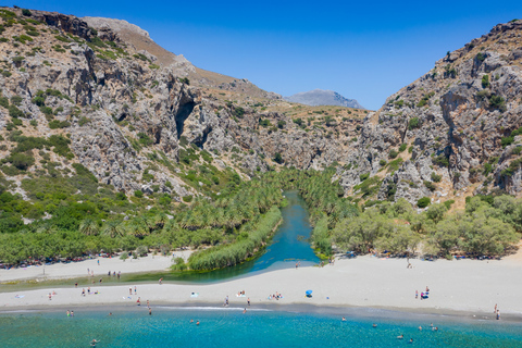 From Chania: Preveli Palm Beach Day Tour