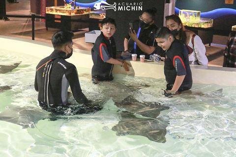 Puebla : Billet pour l'Aquarium MichinBillet d'entrée à l'Aquarium Michin Puebla