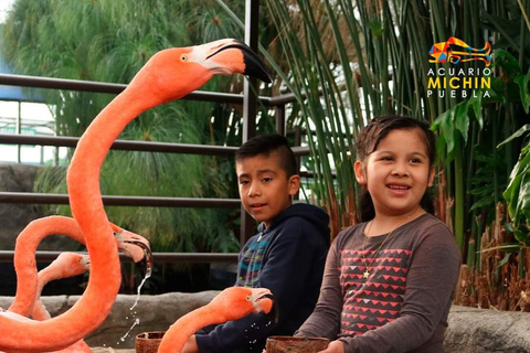 Puebla: Ticket voor Aquarium MichinTicket voor Aquarium Michin Puebla