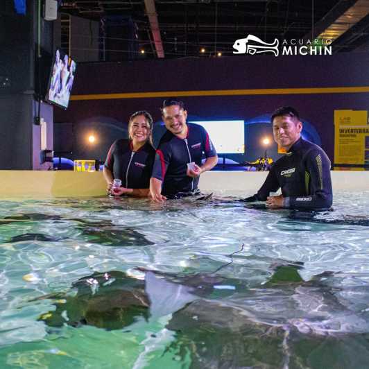 Puebla : Billet d'entrée à l'Aquarium Michin