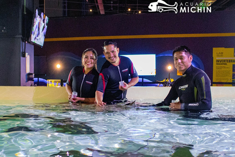 Puebla: Ticket de entrada al Acuario MichinEntrada al Acuario Michin Puebla