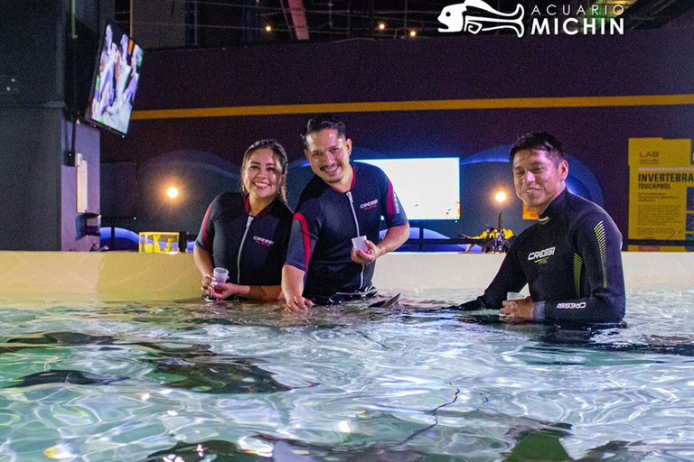 Puebla : Billet pour l'Aquarium MichinBillet d'entrée à l'Aquarium Michin Puebla