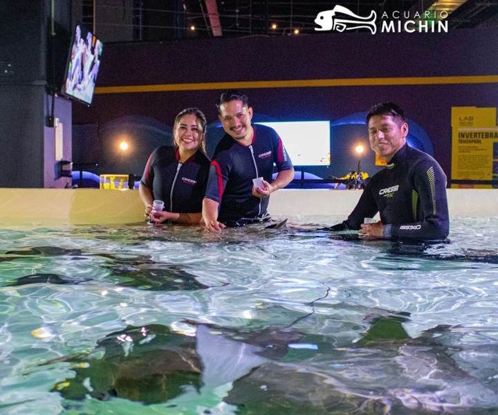 Puebla: Ticket to Aquarium Michin