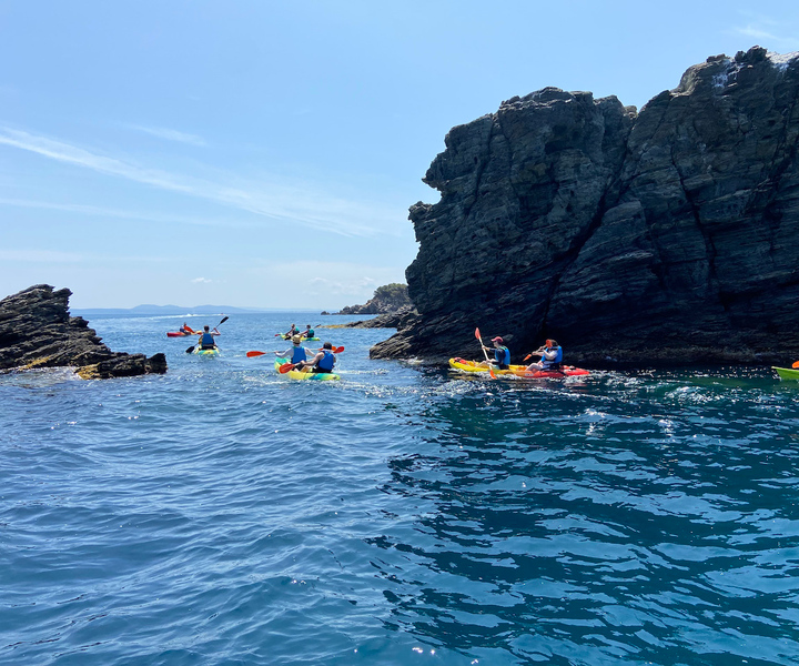Rose: tour guidato in kayak e snorkeling