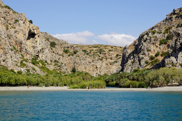 Från Chania: Dagstur till Palm Beach i Preveli