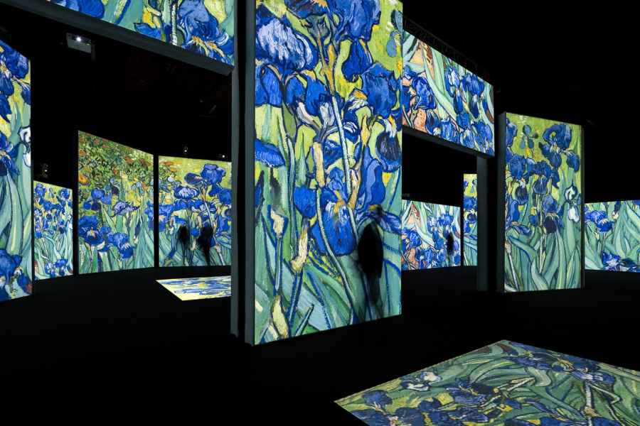 Salzburg: Ticket für die Ausstellung "Van Gogh Alive"