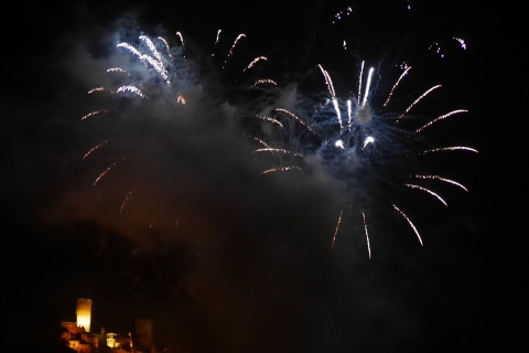 Evening-Cruise to the fireworks of the Cochemer Winefest. Evening-Cruise to the fireworks of the Cochem.