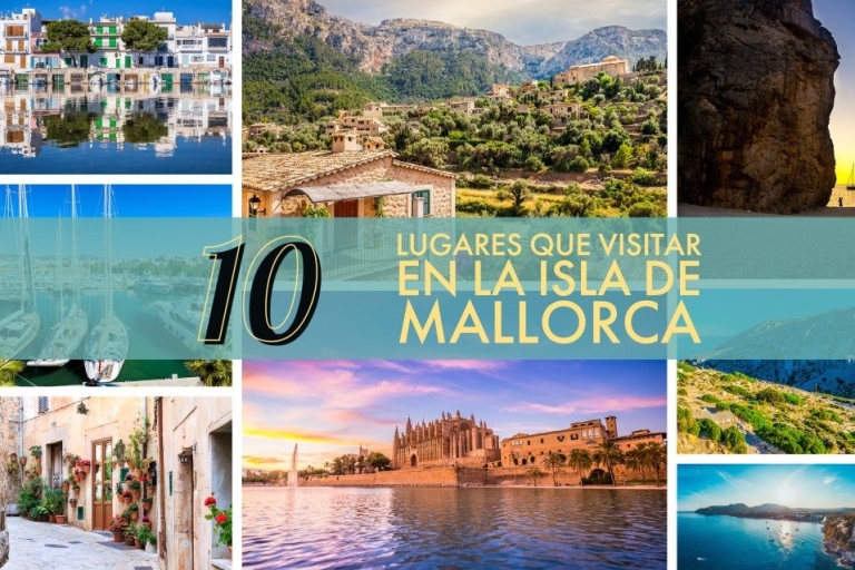 Mallorca Highlights Tour: Palma Ciudad, Tapas, Bazar, PlayaMallorca: Excursión Destacada con Degustación de Tapas, Ciudad y Playa