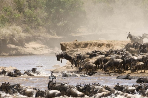 3 jours et 2 nuits de safari en groupe à Maasai Mara en Safari Van
