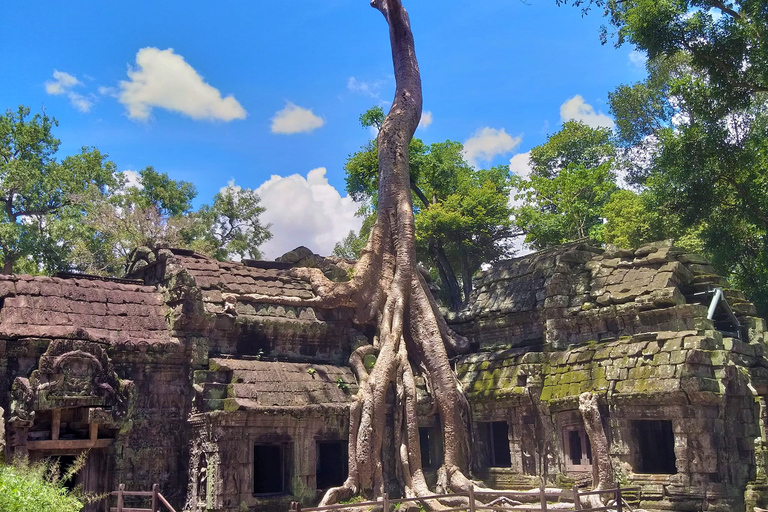 Excursión de un día a Angkor Wat al Amanecer, Ta Promh, Banteay Srei y Bayon